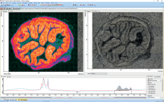 傅立葉變換紅外顯微鏡 傅立葉變換紅外顯微鏡