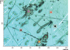 傅立葉變換紅外顯微鏡 傅立葉變換紅外顯微鏡